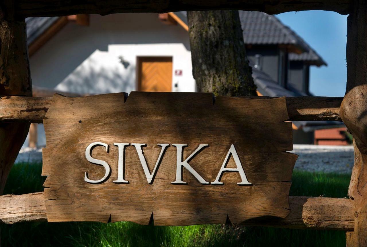 Apartments Sivka - Private Sauna 戈雷尼斯卡地区采尔克列 外观 照片